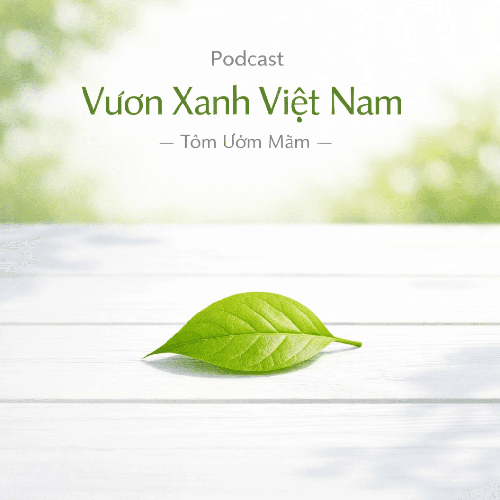 vnf_thumbnail_updated_2.png