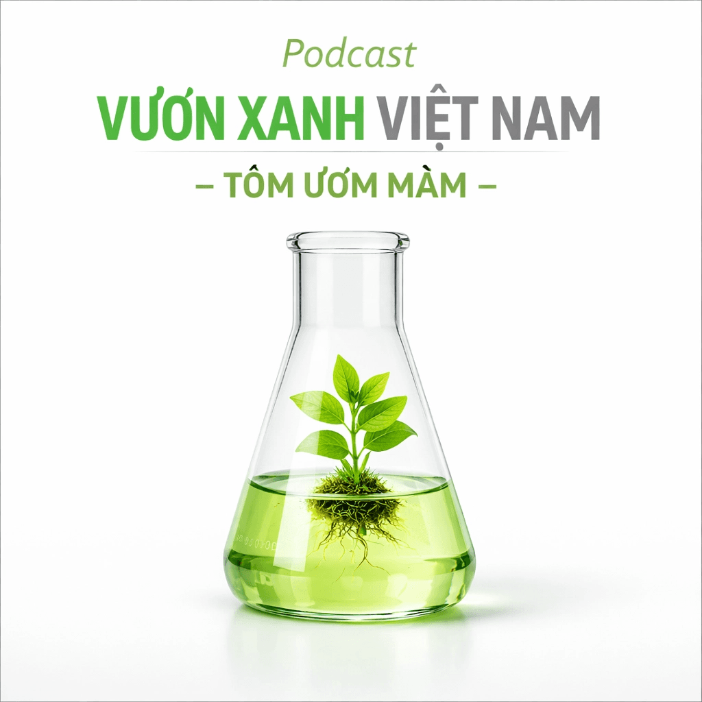vnf_thumbnail_updated_3.png